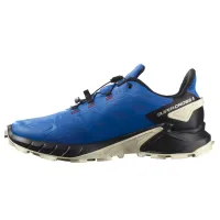 Кроссовки Мужские SALOMON SUPERCROSS 4 GTX Gore-TEX (417320)