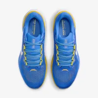 Nike Pegasus 41 NFL Los Angeles Chargers чоловічі Road Running Кросівки блакитний