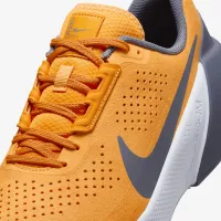 Nike Air Zoom TR 1 мужские для тренировок Кроссовки Yellow