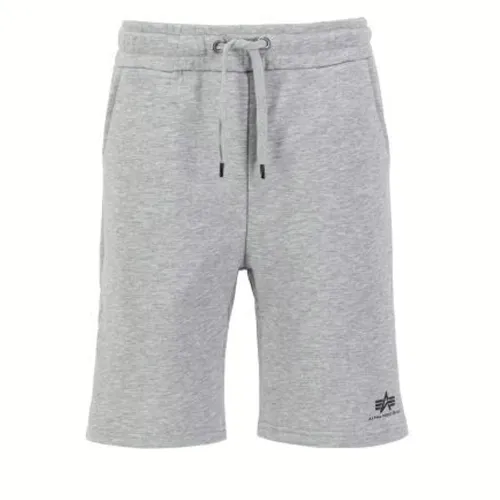 Шорти Alpha Industries Basic SL 11636317 - Сірі