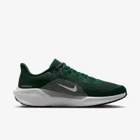 Michigan State Pegasus 41 чоловічі Nike College Road Running Кросівки колір зелений