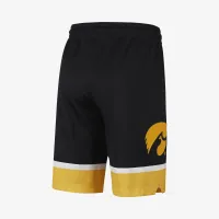 Nike College Dri-FIT (Iowa) чоловічі баскетбольні шорти колір чорний