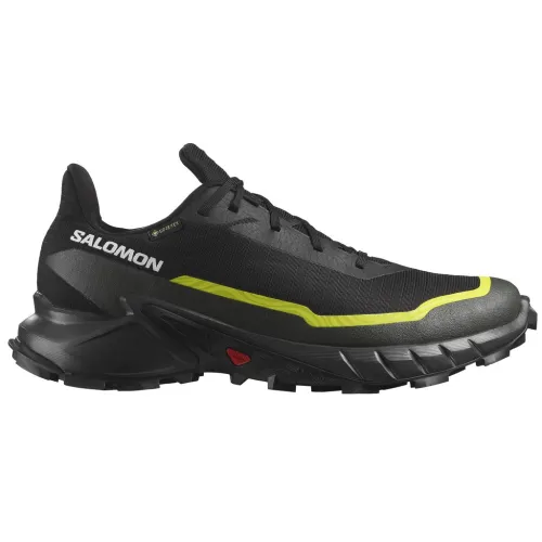 Кроссовки Мужские SALOMON ALPHACROSS 5 GTX Gore-TEX (474604)