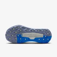 Nike Wildhorse 10 женская Trail Running Кроссовки синий