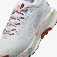 Nike Pegasus Trail 5 GORE-TEX мужские Waterproof Trail Running Кроссовки цвет серый