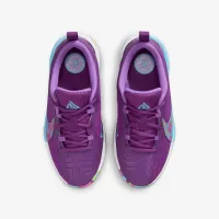 Nike Giannis Freak 5 Big дитячі баскетбольні Кросівки колір фіолетовий