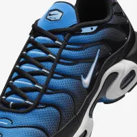 Nike Air Max Plus чоловічі Кросівки блакитний