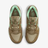 Nike ACG Lowcate чоловічі Кросівки колір коричневий