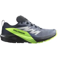 Кросівки для бігу Чоловічі Salomon SENSE RIDE 5 GTX Gore-Tex (473128)