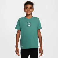 Tottenham Hotspur Heritage чоловічі Nike Soccer футболка колір зелений