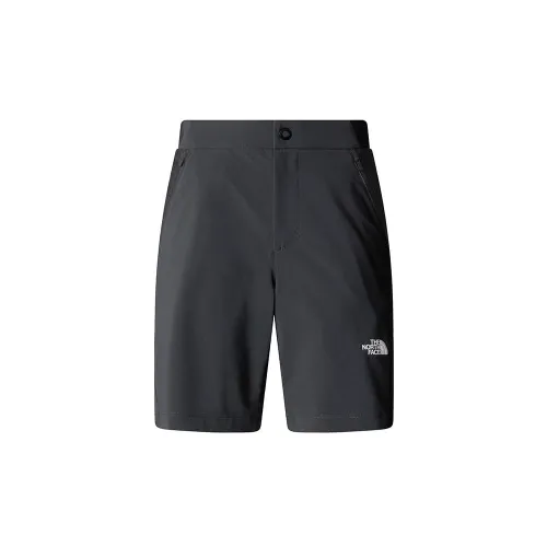 Шорты Женские The North Face Felik 0A8BT4MN81 - Серые
