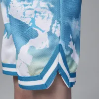 Nike Jordan Watercolor Remix шорты Toddler шорты синий