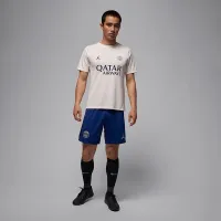 Nike Paris Saint-Germain Academy Pro Fourth мужские Jordan Dri-FIT Soccer Short-Sleeve Pre-Match Top цвет серый