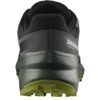 Кроссовки для бега w terenie SALOMON SPEEDCROSS PEAK GTX Gore-tex (477905)