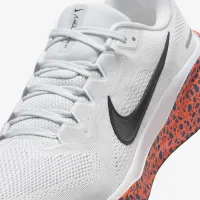 Nike Pegasus 41 Electric мужские Road Running Кроссовки многоцветный