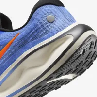 Nike Journey Run чоловічі Road Running Кросівки блакитний
