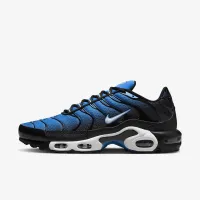 Nike Air Max Plus чоловічі Кросівки блакитний