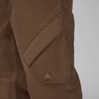 Nike Jordan Chicago мужские Pants цвет коричневый