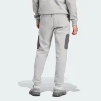 Штани adidas Originals IZ3281 - Сірі