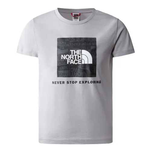 Футболка The North Face цвет красныйbox 0A82E9A911 - Серая