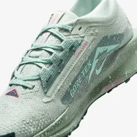 Nike Pegasus Trail 5 GORE-TEX мужские Waterproof Trail Running Кроссовки цвет серый