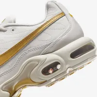 Nike Air Max Plus чоловічі Кросівки колір сірий