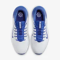 Nike Free для гольфу NN для гольфу Кросівки блакитний