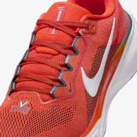 Virginia Pegasus 41 мужские Nike College Road Running Кроссовки Orange