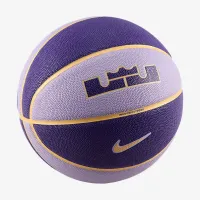 Nike LeBron All-Court 8P баскетбольные цвет фиолетовый