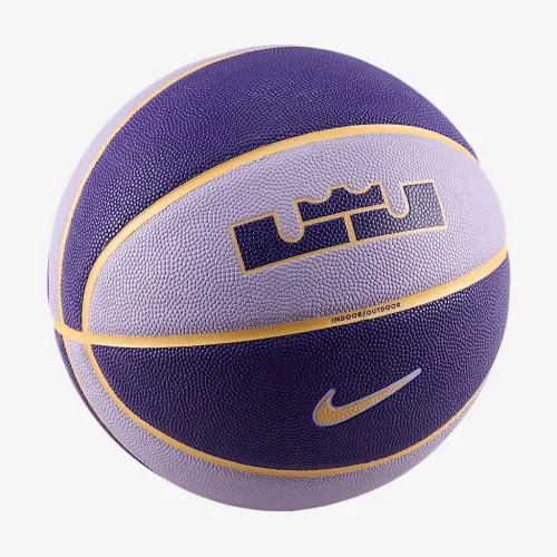 Nike LeBron All-Court 8P баскетбольные цвет фиолетовый