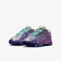 Nike LeBron XXII Big детские баскетбольные Кроссовки цвет коричневый