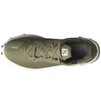 Кроссовки Мужские SALOMON ALPHACROSS 3 GTX Gore-TEX (413595)