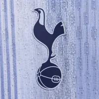 Tottenham Hotspur 2024/25 Match Away мужские Nike Dri-FIT ADV Soccer Authentic Jersey синий