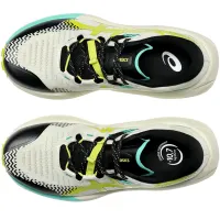 Кросівки для бігу Asics Trabuco MAX 5 (1011C164 020)