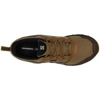 Кроссовки для треккинга Мужские SALOMON WANDER GTX Gore-Tex (474366)