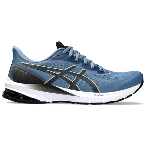 Кроссовки для бега Мужские ASICS GT-1000 12 (1011B631 401)