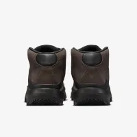 Nike Cygnal чоловічі Кросівки колір коричневий
