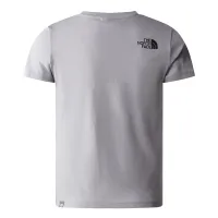 Футболка The North Face цвет красныйbox 0A82E9A911 - Серая