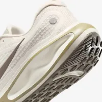 Nike Journey Run чоловічі Road Running Кросівки колір сірий
