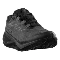 Кроссовки для бега Salomon AERO BLAZE 3 GRVL GTX (479767)