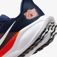 Auburn Pegasus 41 чоловічі Nike College Road Running Кросівки блакитний