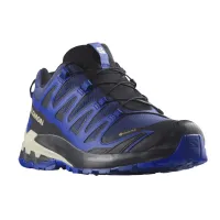 Кроссовки для бега Мужские Salomon XA PRO 3D V9 GTX Gore-Tex (472703)