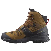 Кросівки для трекінгу Чоловічі SALOMON QUEST 4 GTX GORE-TEX (471564)