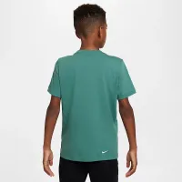 Tottenham Hotspur Heritage чоловічі Nike Soccer футболка колір зелений