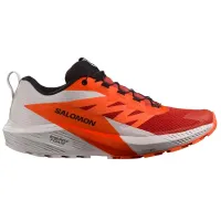 Кросівки для бігу Чоловічі Salomon SENSE RIDE 5 (470462)