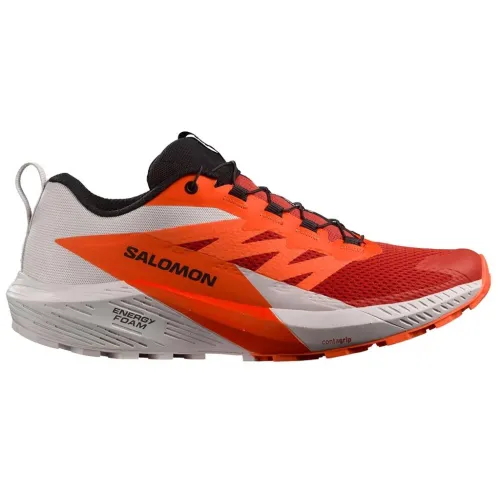 Кроссовки для бега Мужские Salomon SENSE RIDE 5 (470462)