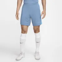 Nike Dri-FIT Academy чоловічі Dri-FIT Soccer шорти блакитний