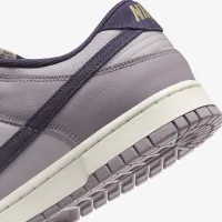 Nike Dunk Low Retro SE мужские Кроссовки цвет серый