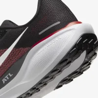 Nike Pegasus 41 NFL Atlanta Falcons мужские Road Running Кроссовки цвет черный