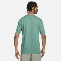 Nike ACG мужские футболка цвет зеленый